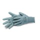 GANTS NYLON